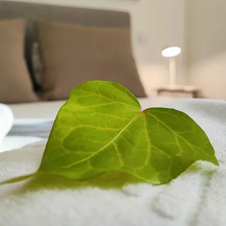 Casa Do Barbeiro - View Of The River Minho Vakantiehuis