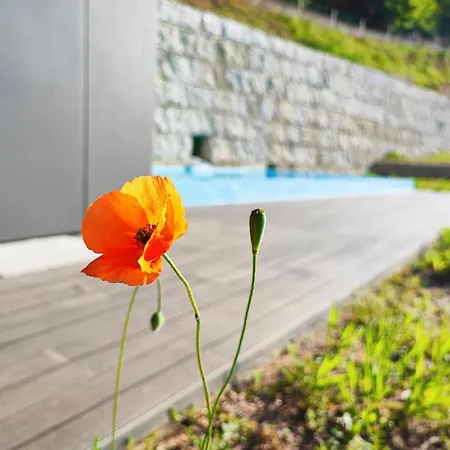 Casa Do Barbeiro - View Of The River Minho