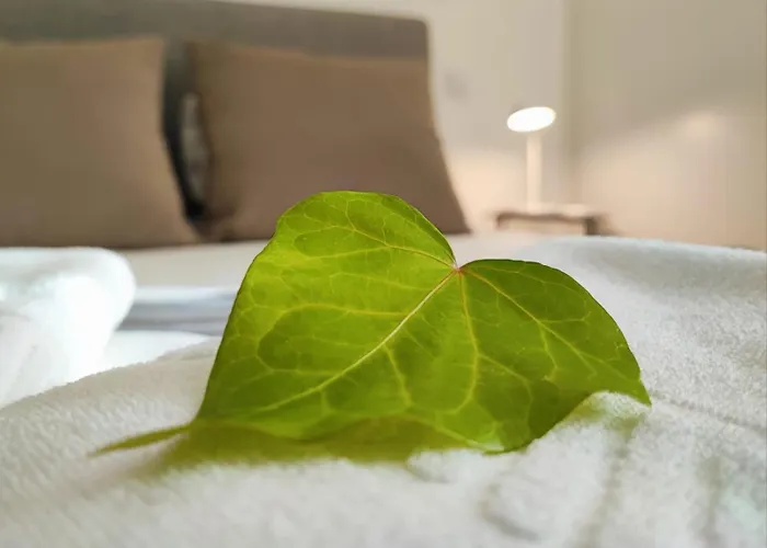 Casa Do Barbeiro - View Of The River Minho Holiday home