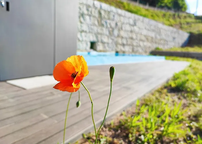 Casa Do Barbeiro - View Of The River Minho